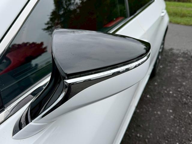 ES 300h Fスポーツ サンルーフ/衝突軽減/レーダークルーズコントロール/コーナーセンサー/BSM/ハンドルヒーター/シートヒーター・エアコン/パワーシート/シートメモリ/ETC/Bluetooth/バックカメラ(11枚目)