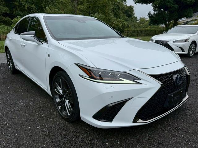 ES 300h Fスポーツ サンルーフ/衝突軽減/レーダークルーズコントロール/コーナーセンサー/BSM/ハンドルヒーター/シートヒーター・エアコン/パワーシート/シートメモリ/ETC/Bluetooth/バックカメラ(13枚目)