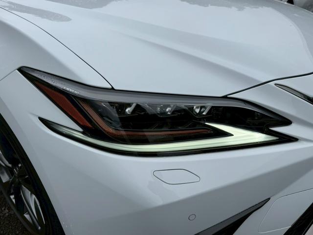 ES 300h Fスポーツ サンルーフ/衝突軽減/レーダークルーズコントロール/コーナーセンサー/BSM/ハンドルヒーター/シートヒーター・エアコン/パワーシート/シートメモリ/ETC/Bluetooth/バックカメラ(14枚目)