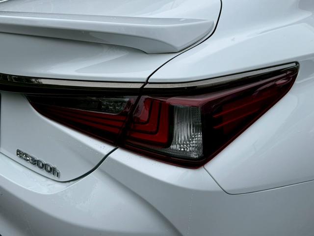 ES 300h Fスポーツ サンルーフ/衝突軽減/レーダークルーズコントロール/コーナーセンサー/BSM/ハンドルヒーター/シートヒーター・エアコン/パワーシート/シートメモリ/ETC/Bluetooth/バックカメラ(23枚目)