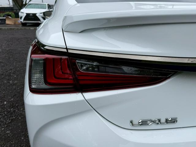 ES 300h Fスポーツ サンルーフ/衝突軽減/レーダークルーズコントロール/コーナーセンサー/BSM/ハンドルヒーター/シートヒーター・エアコン/パワーシート/シートメモリ/ETC/Bluetooth/バックカメラ(25枚目)