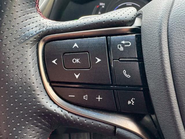 ES 300h Fスポーツ サンルーフ/衝突軽減/レーダークルーズコントロール/コーナーセンサー/BSM/ハンドルヒーター/シートヒーター・エアコン/パワーシート/シートメモリ/ETC/Bluetooth/バックカメラ(39枚目)