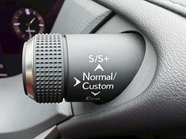 ES 300h Fスポーツ サンルーフ/衝突軽減/レーダークルーズコントロール/コーナーセンサー/BSM/ハンドルヒーター/シートヒーター・エアコン/パワーシート/シートメモリ/ETC/Bluetooth/バックカメラ(46枚目)