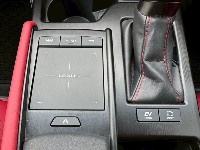 ES 300h Fスポーツ サンルーフ/衝突軽減/レーダークルーズコントロール/コーナーセンサー/BSM/ハンドルヒーター/シートヒーター・エアコン/パワーシート/シートメモリ/ETC/Bluetooth/バックカメラ(53枚目)