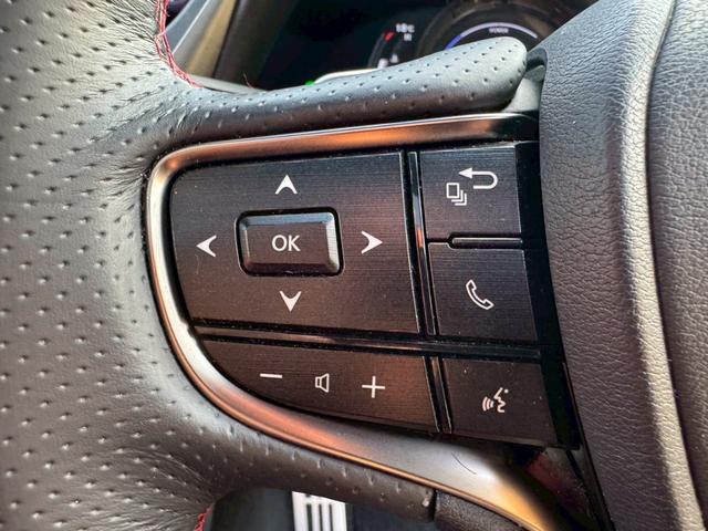 ES 300h Fスポーツ サンルーフ/デジタルインナーミラー/全周囲カメラ/衝突軽減/レーダークルーズ/コーナーセンサー/ブラインドスポットモニター/シートヒーター・エアコン/ハンドルヒーター/Bluetooth/ETC(41枚目)