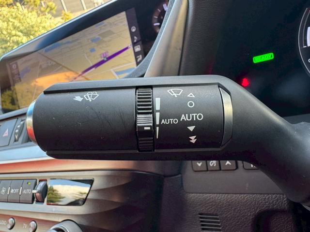 ES 300h Fスポーツ サンルーフ/デジタルインナーミラー/全周囲カメラ/衝突軽減/レーダークルーズ/コーナーセンサー/ブラインドスポットモニター/シートヒーター・エアコン/ハンドルヒーター/Bluetooth/ETC(44枚目)