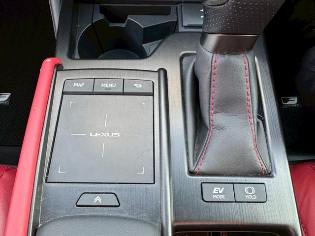 ES 300h Fスポーツ サンルーフ/デジタルインナーミラー/全周囲カメラ/衝突軽減/レーダークルーズ/コーナーセンサー/ブラインドスポットモニター/シートヒーター・エアコン/ハンドルヒーター/Bluetooth/ETC(49枚目)