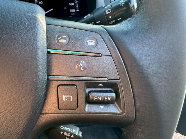 ＨＳ ２５０ｈ　ＶｅｒＩ　クルーズコントロール／コーナーセンサー／シートヒーター・エアコン／パワーシート／シートメモリ／ＥＴＣ／バックカメラ／プッシュスタート／電動格納ミラー／フルセグＴＶ／ＨＤＤナビ／ＵＳＢ（41枚目）