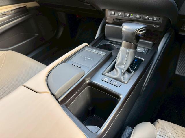 ES 300h VerL マークレビンソン/サンルーフ/衝突軽減/全周囲カメラ/レーダークルーズコントロール/コーナーセンサー/HUD/BSM/ハンドルヒーター/シートヒーター・エアコン/パワーシート/シートメモリ/ETC(49枚目)