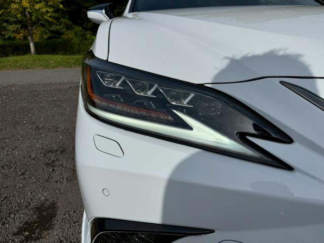 ES 300h Fスポーツ Tom’sエアロ/サンルーフ/衝突軽減/レーダークルーズ/コーナーセンサー/BSM/ハンドルヒーター/シートヒーター・エアコン/パワーシート/シートメモリ/ETC/Bluetooth/バックカメラ(11枚目)