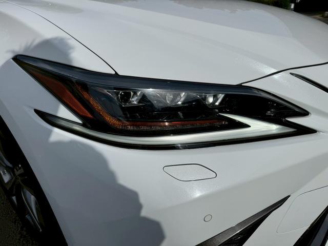 ES 300h Fスポーツ Tom’sエアロ/サンルーフ/衝突軽減/レーダークルーズ/コーナーセンサー/BSM/ハンドルヒーター/シートヒーター・エアコン/パワーシート/シートメモリ/ETC/Bluetooth/バックカメラ(12枚目)