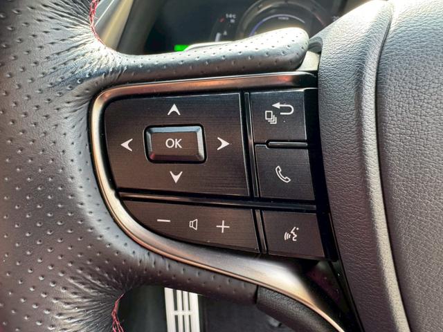 ES 300h Fスポーツ Tom’sエアロ/サンルーフ/衝突軽減/レーダークルーズ/コーナーセンサー/BSM/ハンドルヒーター/シートヒーター・エアコン/パワーシート/シートメモリ/ETC/Bluetooth/バックカメラ(41枚目)