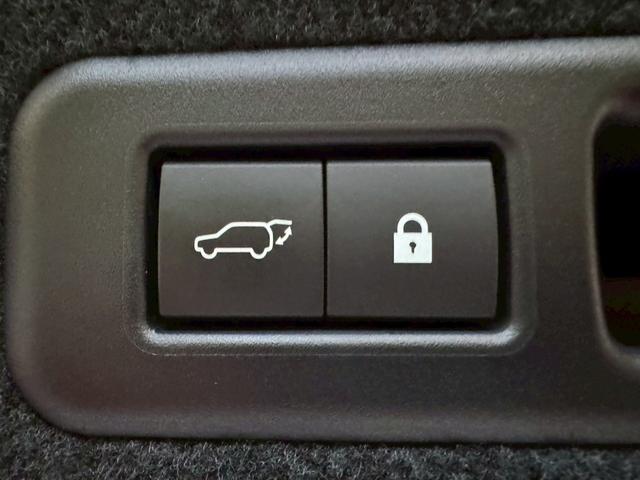 RX 450h VerL 後期/サンルーフ/HUD/BSM/全周囲カメラ/衝突軽減/レーダークルーズコントロール/レーンキープ/コーナーセンサ/電動格納ミラー/シートヒーター・エアコン/パワーバックドア/ETC/シートメモリー(69枚目)