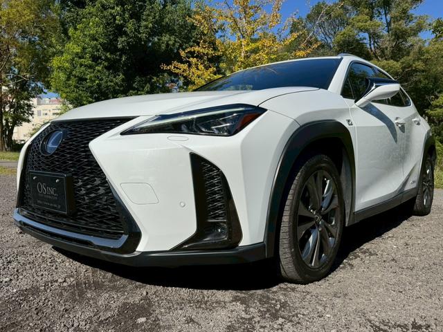 UX 250h Fスポーツ/ サンルーフ/BSM/レーダークルーズ/レーンキープ/コーナーセンサ/シートヒータ・エアコン/パワーバックドア/パワーシート/シートメモリ/電動格納ミラー/ETC2.0/バックカメラ/Bluetooth(6枚目)