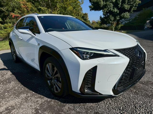 UX 250h Fスポーツ/ サンルーフ/BSM/レーダークルーズ/レーンキープ/コーナーセンサ/シートヒータ・エアコン/パワーバックドア/パワーシート/シートメモリ/電動格納ミラー/ETC2.0/バックカメラ/Bluetooth(12枚目)