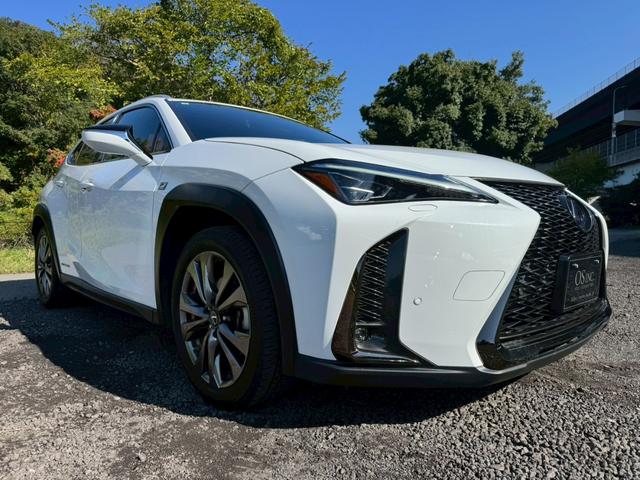 UX 250h Fスポーツ/ サンルーフ/BSM/レーダークルーズ/レーンキープ/コーナーセンサ/シートヒータ・エアコン/パワーバックドア/パワーシート/シートメモリ/電動格納ミラー/ETC2.0/バックカメラ/Bluetooth(13枚目)