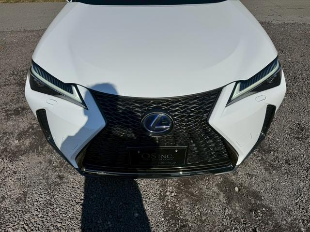 UX 250h Fスポーツ/ サンルーフ/BSM/レーダークルーズ/レーンキープ/コーナーセンサ/シートヒータ・エアコン/パワーバックドア/パワーシート/シートメモリ/電動格納ミラー/ETC2.0/バックカメラ/Bluetooth(17枚目)