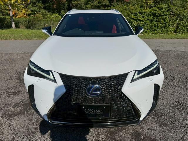 UX 250h Fスポーツ/ サンルーフ/BSM/レーダークルーズ/レーンキープ/コーナーセンサ/シートヒータ・エアコン/パワーバックドア/パワーシート/シートメモリ/電動格納ミラー/ETC2.0/バックカメラ/Bluetooth(18枚目)