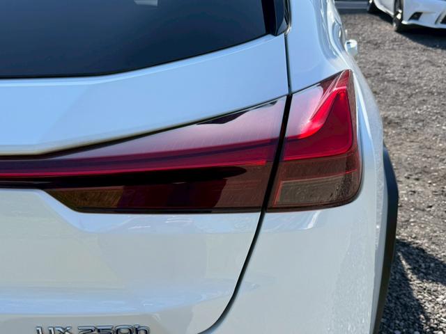 UX 250h Fスポーツ/ サンルーフ/BSM/レーダークルーズ/レーンキープ/コーナーセンサ/シートヒータ・エアコン/パワーバックドア/パワーシート/シートメモリ/電動格納ミラー/ETC2.0/バックカメラ/Bluetooth(19枚目)