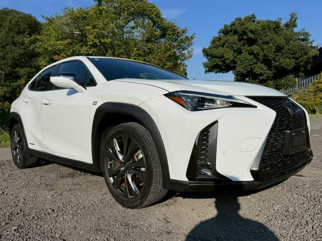 UX 250h Fスポーツ /ワンオーナー/BSM/衝突軽減/レーダークルーズ/レーンキープ/コーナーセンサー/パワーバックドア/パワーシート/シートメモリー/シートヒータ・エアコン/ステアリングヒーター/置くだけ充電/ETC(14枚目)