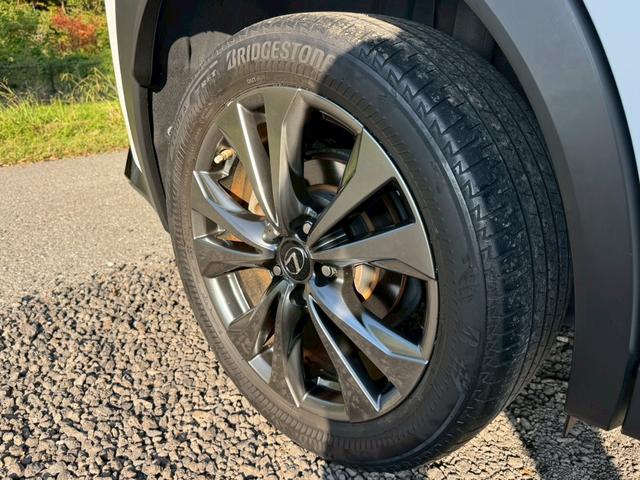 UX 250h Fスポーツ /ワンオーナー/BSM/衝突軽減/レーダークルーズ/レーンキープ/コーナーセンサー/パワーバックドア/パワーシート/シートメモリー/シートヒータ・エアコン/ステアリングヒーター/置くだけ充電/ETC(24枚目)