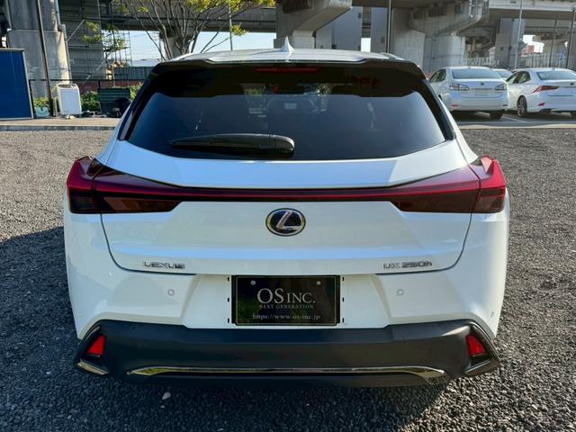 UX 250h Fスポーツ /ワンオーナー/BSM/衝突軽減/レーダークルーズ/レーンキープ/コーナーセンサー/パワーバックドア/パワーシート/シートメモリー/シートヒータ・エアコン/ステアリングヒーター/置くだけ充電/ETC(30枚目)