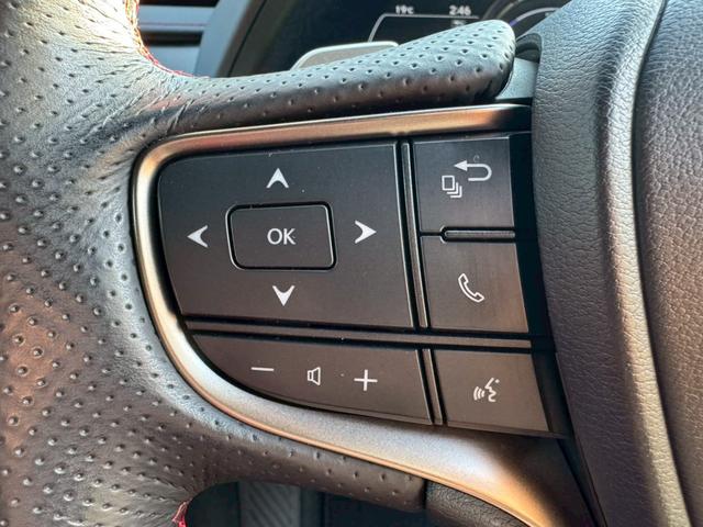 UX 250h Fスポーツ /ワンオーナー/BSM/衝突軽減/レーダークルーズ/レーンキープ/コーナーセンサー/パワーバックドア/パワーシート/シートメモリー/シートヒータ・エアコン/ステアリングヒーター/置くだけ充電/ETC(40枚目)