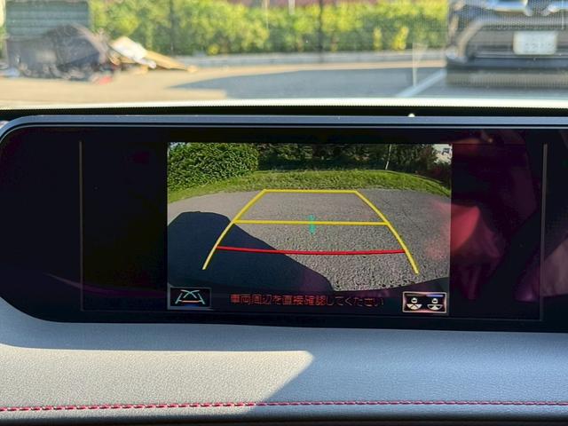 UX 250h Fスポーツ /ワンオーナー/BSM/衝突軽減/レーダークルーズ/レーンキープ/コーナーセンサー/パワーバックドア/パワーシート/シートメモリー/シートヒータ・エアコン/ステアリングヒーター/置くだけ充電/ETC(53枚目)