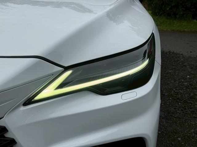 RX 500h Fスポーツパフォーマンス /ワンオーナー/パノラマルーフ/デジタルインナーミラー/全周囲カメラ/アドバンストドライブ/BSM/衝突軽減/レーダークルーズ/コーナーセンサー/パワーバックドア/シートヒータ・エアコン/ETC(6枚目)