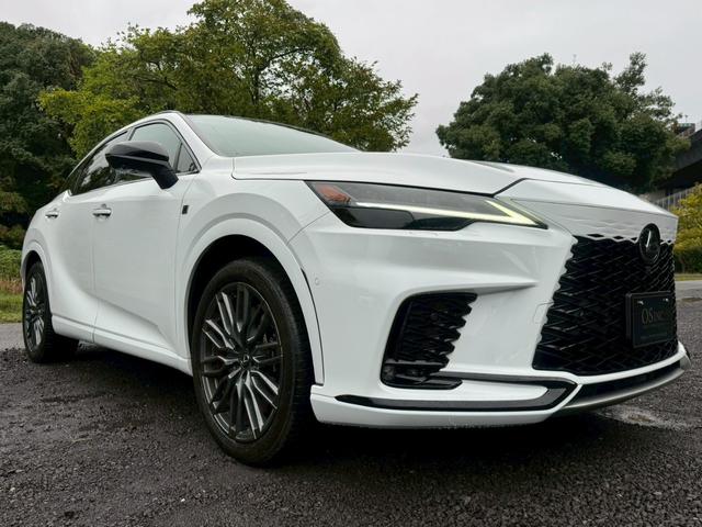 RX 500h Fスポーツパフォーマンス /ワンオーナー/パノラマルーフ/デジタルインナーミラー/全周囲カメラ/アドバンストドライブ/BSM/衝突軽減/レーダークルーズ/コーナーセンサー/パワーバックドア/シートヒータ・エアコン/ETC(17枚目)