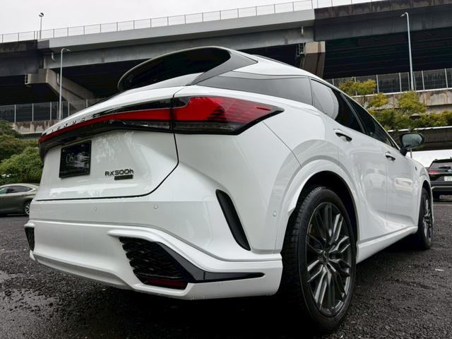 RX 500h Fスポーツパフォーマンス /ワンオーナー/パノラマルーフ/デジタルインナーミラー/全周囲カメラ/アドバンストドライブ/BSM/衝突軽減/レーダークルーズ/コーナーセンサー/パワーバックドア/シートヒータ・エアコン/ETC(25枚目)