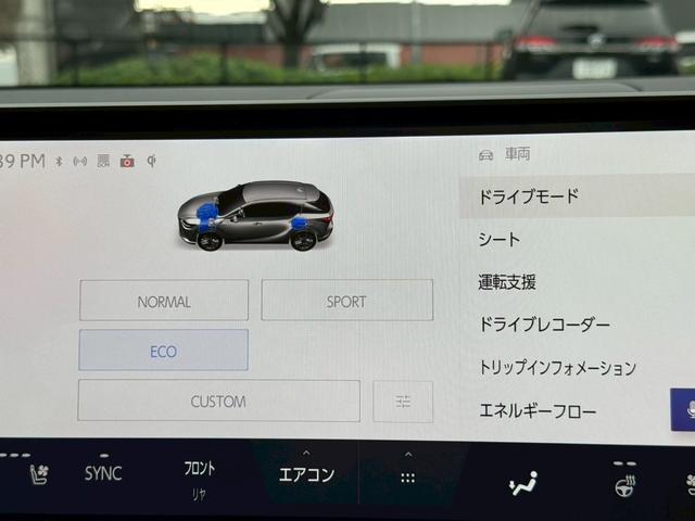 RX 500h Fスポーツパフォーマンス /ワンオーナー/パノラマルーフ/デジタルインナーミラー/全周囲カメラ/アドバンストドライブ/BSM/衝突軽減/レーダークルーズ/コーナーセンサー/パワーバックドア/シートヒータ・エアコン/ETC(56枚目)