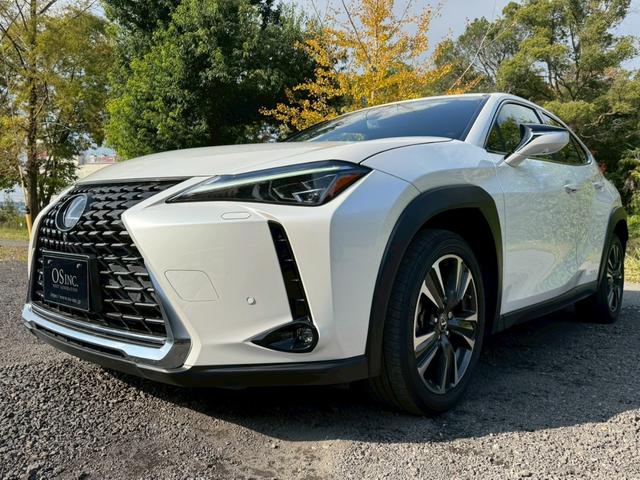 UX 250h VerL 衝突軽減/全周囲カメラ/レーダークルーズコントロール/コーナーセンサー/BSM/ハンドルヒーター/シートヒーター・エアコン/パワーシート/シートメモリ/ETC/Bluetooth/バックカメラ(9枚目)