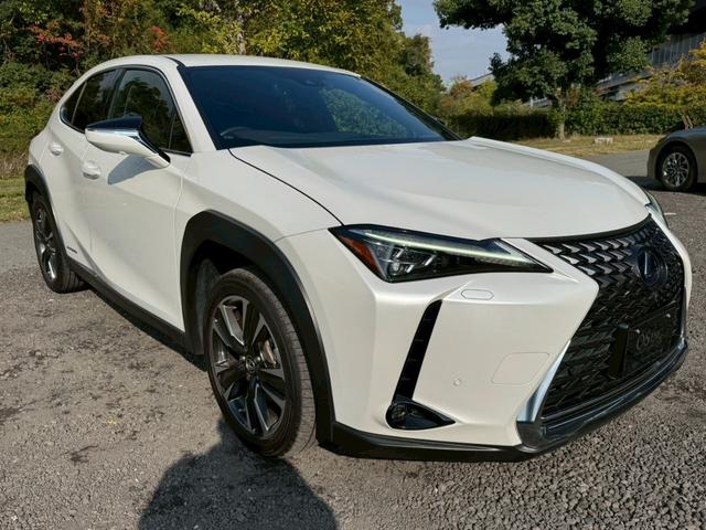 UX 250h VerL 衝突軽減/全周囲カメラ/レーダークルーズコントロール/コーナーセンサー/BSM/ハンドルヒーター/シートヒーター・エアコン/パワーシート/シートメモリ/ETC/Bluetooth/バックカメラ(14枚目)