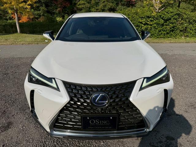 UX 250h VerL 衝突軽減/全周囲カメラ/レーダークルーズコントロール/コーナーセンサー/BSM/ハンドルヒーター/シートヒーター・エアコン/パワーシート/シートメモリ/ETC/Bluetooth/バックカメラ(19枚目)