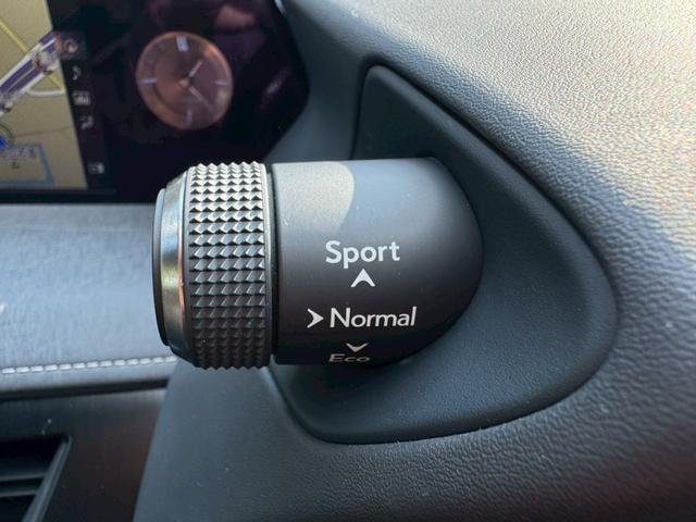 UX 250h VerL 衝突軽減/全周囲カメラ/レーダークルーズコントロール/コーナーセンサー/BSM/ハンドルヒーター/シートヒーター・エアコン/パワーシート/シートメモリ/ETC/Bluetooth/バックカメラ(47枚目)