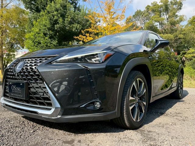 UX 250h VerL 衝突軽減/全周囲カメラ/レーダークルーズコントロール/コーナーセンサー/HUD/BSM/ハンドルヒーター/シートヒーター・エアコン/パワーシート/シートメモリ/ETC/Bluetooth/バックカメラ(7枚目)