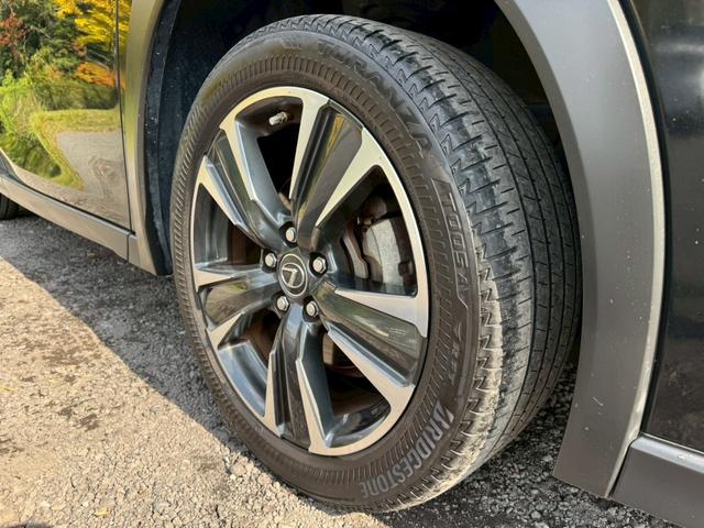 UX 250h VerL 衝突軽減/全周囲カメラ/レーダークルーズコントロール/コーナーセンサー/HUD/BSM/ハンドルヒーター/シートヒーター・エアコン/パワーシート/シートメモリ/ETC/Bluetooth/バックカメラ(16枚目)