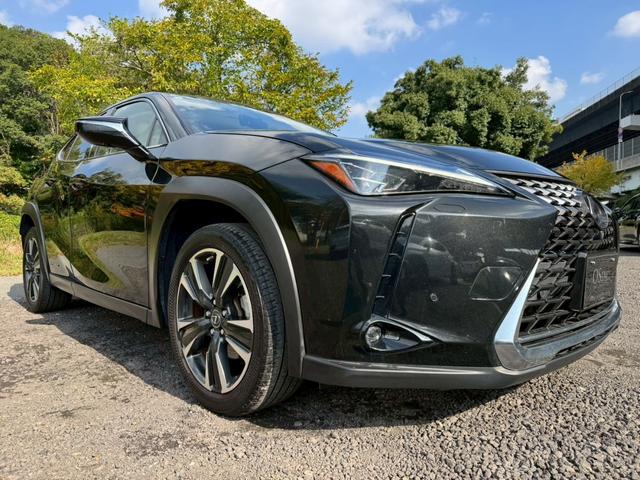 UX 250h VerL 衝突軽減/全周囲カメラ/レーダークルーズコントロール/コーナーセンサー/HUD/BSM/ハンドルヒーター/シートヒーター・エアコン/パワーシート/シートメモリ/ETC/Bluetooth/バックカメラ(17枚目)