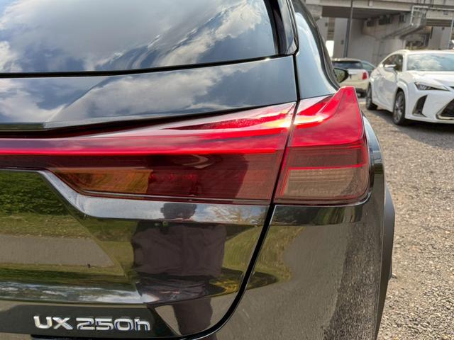 UX 250h VerL 衝突軽減/全周囲カメラ/レーダークルーズコントロール/コーナーセンサー/HUD/BSM/ハンドルヒーター/シートヒーター・エアコン/パワーシート/シートメモリ/ETC/Bluetooth/バックカメラ(22枚目)
