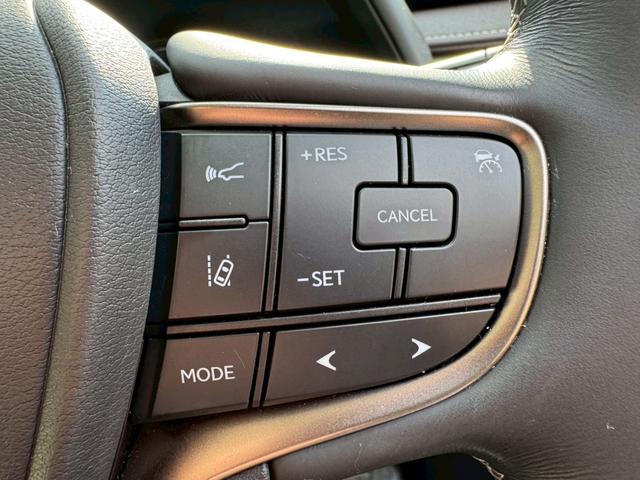 UX 250h VerL 衝突軽減/全周囲カメラ/レーダークルーズコントロール/コーナーセンサー/HUD/BSM/ハンドルヒーター/シートヒーター・エアコン/パワーシート/シートメモリ/ETC/Bluetooth/バックカメラ(43枚目)