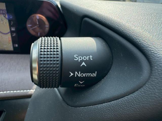 UX 250h VerL 衝突軽減/全周囲カメラ/レーダークルーズコントロール/コーナーセンサー/HUD/BSM/ハンドルヒーター/シートヒーター・エアコン/パワーシート/シートメモリ/ETC/Bluetooth/バックカメラ(45枚目)