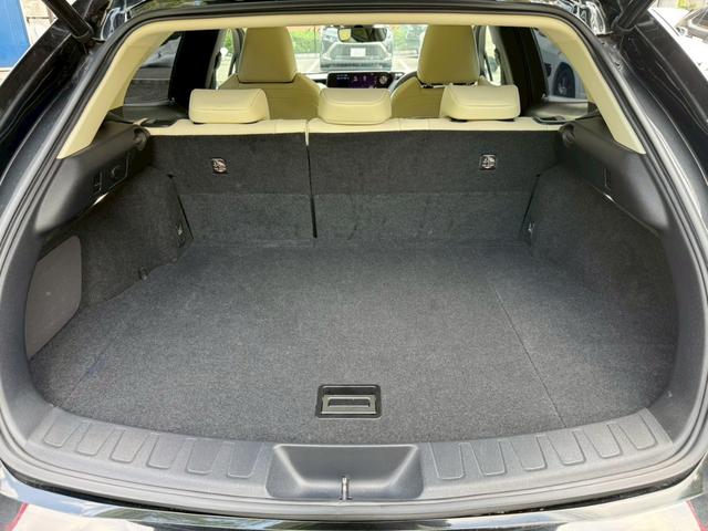 UX 250h VerL 衝突軽減/全周囲カメラ/レーダークルーズコントロール/コーナーセンサー/HUD/BSM/ハンドルヒーター/シートヒーター・エアコン/パワーシート/シートメモリ/ETC/Bluetooth/バックカメラ(66枚目)