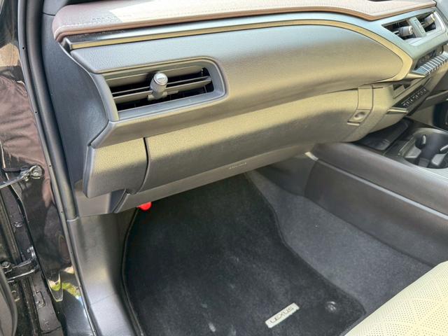 UX 250h VerL 衝突軽減/全周囲カメラ/レーダークルーズコントロール/コーナーセンサー/HUD/BSM/ハンドルヒーター/シートヒーター・エアコン/パワーシート/シートメモリ/ETC/Bluetooth/バックカメラ(80枚目)