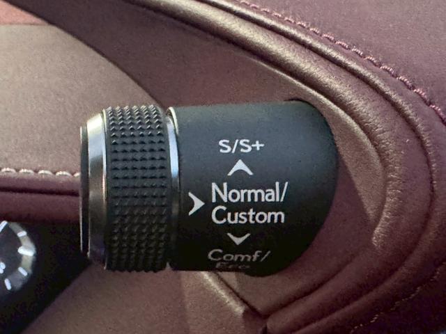 LS 500h エグゼクティブ /サンルーフ/マクレビ/BSM/HUD/デジタルインナーミラー/全周囲カメラ/衝突軽減/レーダークルーズ/レーンキープ/コーナーセンサー/パワーバックドア/シートヒータ・エアコン/パワーシート/ETC(50枚目)