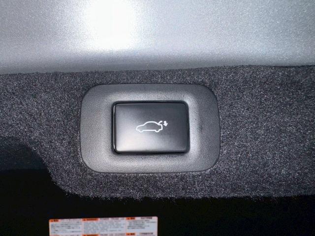 LS 500h エグゼクティブ /サンルーフ/マクレビ/BSM/HUD/デジタルインナーミラー/全周囲カメラ/衝突軽減/レーダークルーズ/レーンキープ/コーナーセンサー/パワーバックドア/シートヒータ・エアコン/パワーシート/ETC(72枚目)