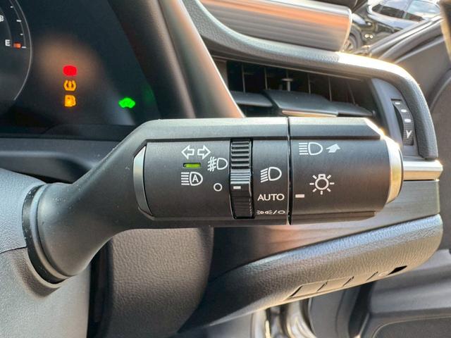 ES 300h Fスポーツ サンルーフ/衝突軽減/全周囲カメラ/レーダークルーズコントロール/コーナーセンサー/HUD/BSM/ハンドルヒーター/シートヒーター・エアコン/パワーシート/シートメモリ/ETC/Bluetooth(45枚目)