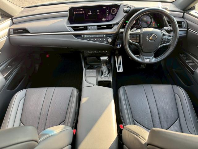 ES 300h Fスポーツ サンルーフ/衝突軽減/全周囲カメラ/レーダークルーズコントロール/コーナーセンサー/HUD/BSM/ハンドルヒーター/シートヒーター・エアコン/パワーシート/シートメモリ/ETC/Bluetooth(69枚目)