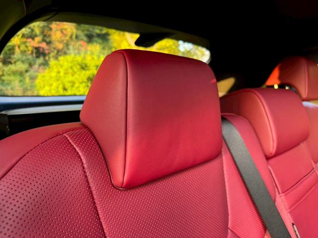 RX 500h Fスポーツパフォーマンス 現行/アドバンスドドライブ/サンルーフ/衝突軽減/全周囲カメラ/レーダークルーズコントロール/コーナーセンサー/BSM/ハンドルヒーター/電動リアゲート/シートヒーター・エアコン/パワーシート/ETC(66枚目)