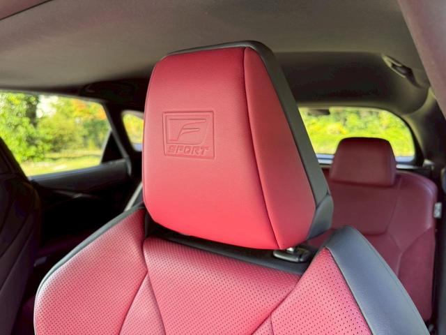 �����k�d�w�t�r���X�@�n�r�h�m�b�D����